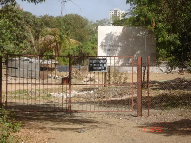 11 June 2009
