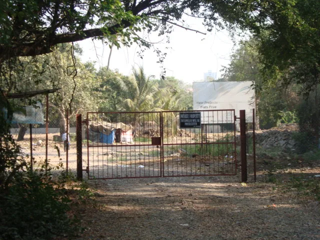 17 Jan 2009