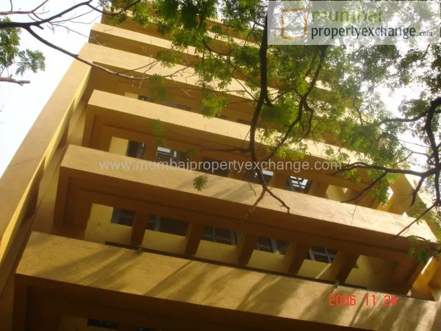 24 Nov 2006