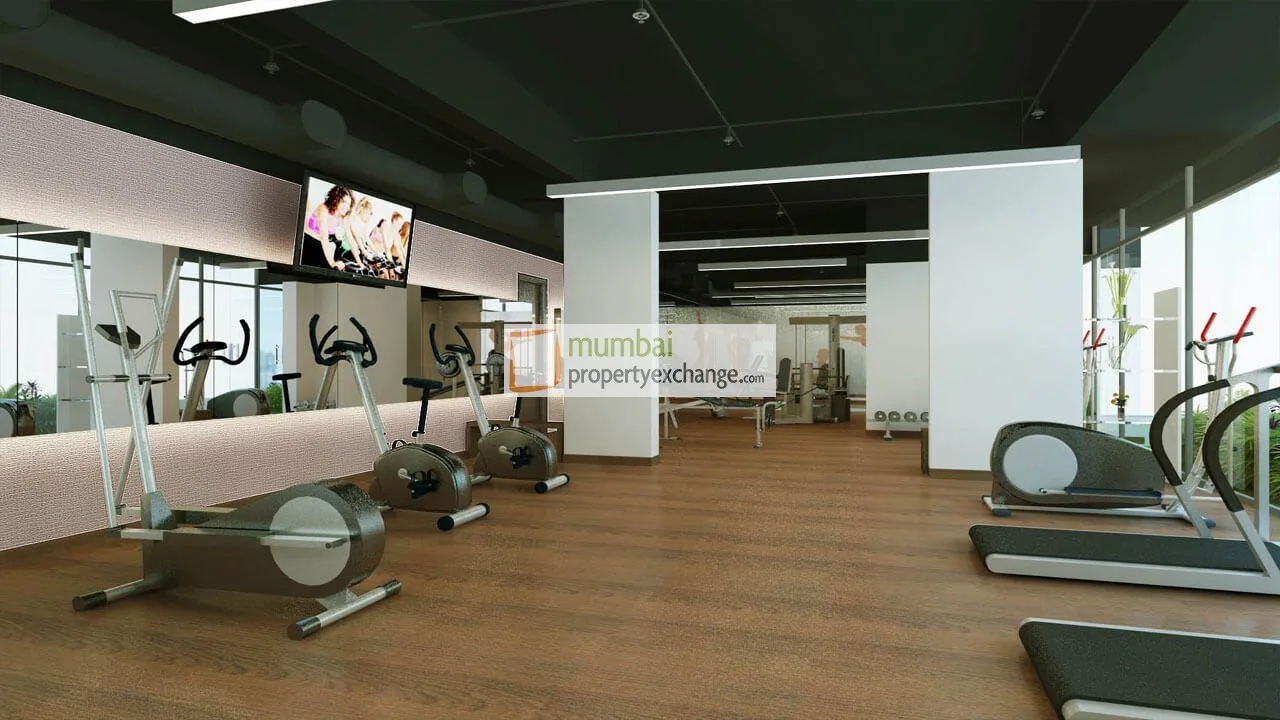 Gymnasium