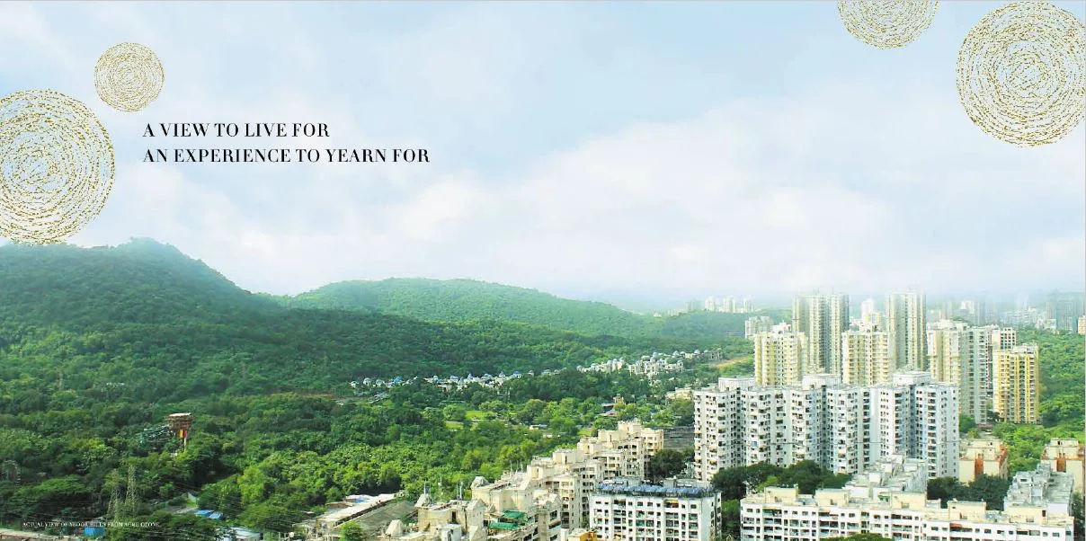 View from Acme Ozone