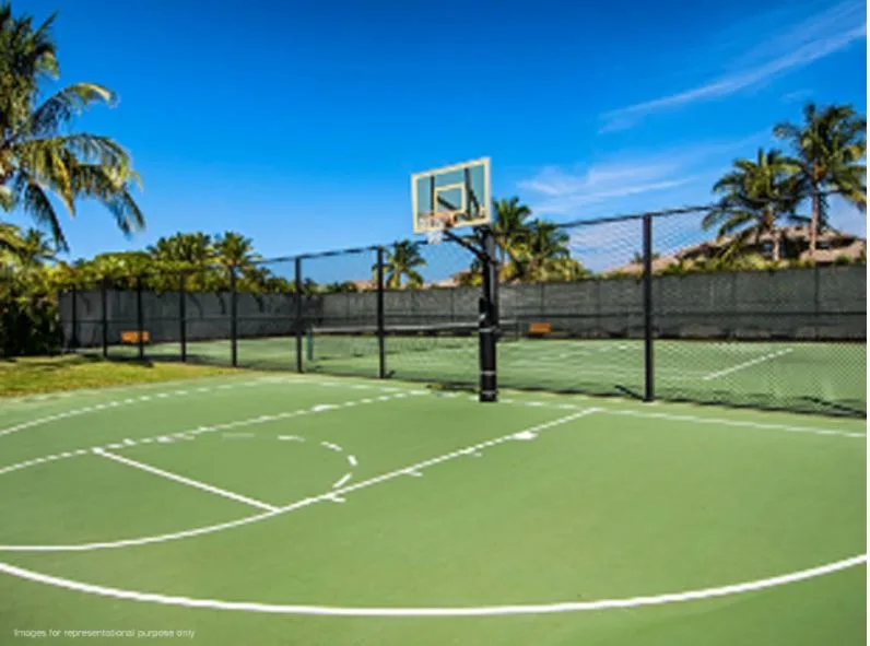 Joyville Basket Ball Court