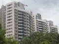 20 Jan 2009