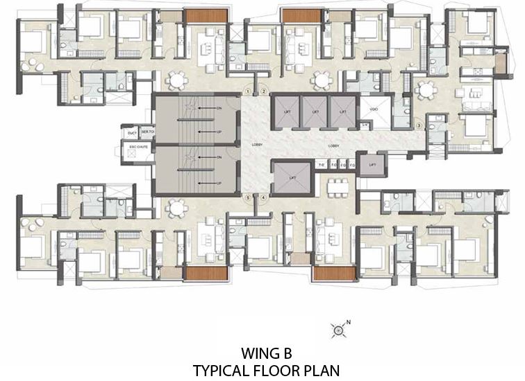 Kalpataru Magnus Wing B Typical Floor Plan