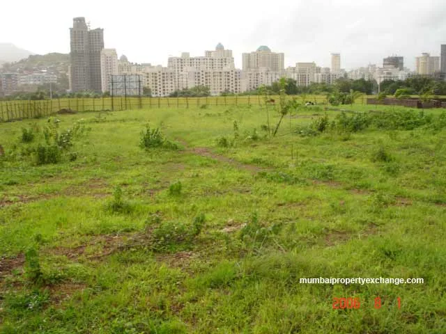 1st August 2006
