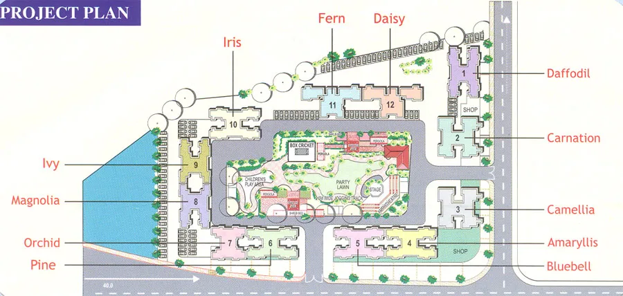 Lay Out