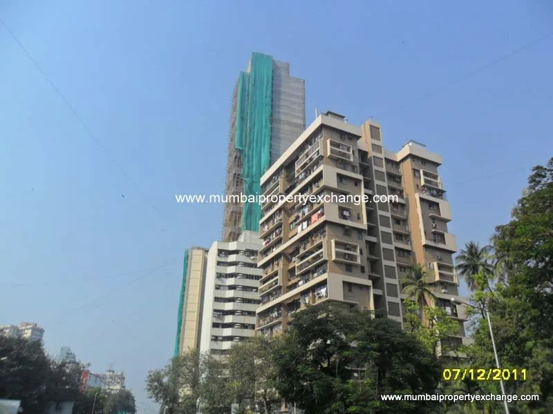 12th Dec 2011