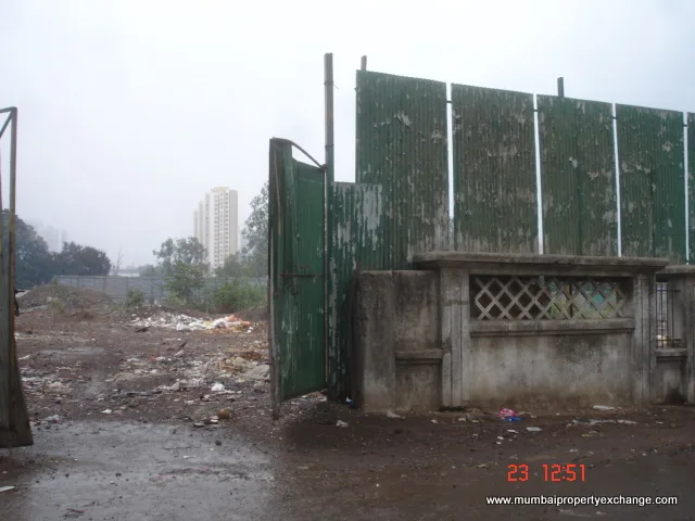 23 June 2009