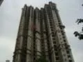 14 Feb 2009