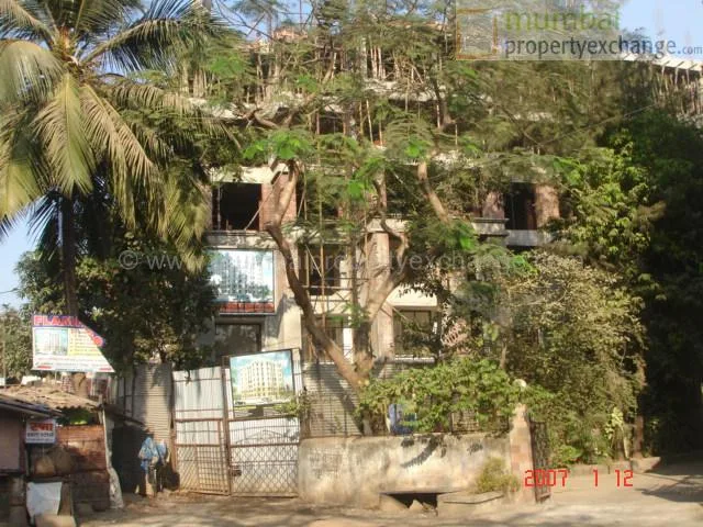 12 January 2007