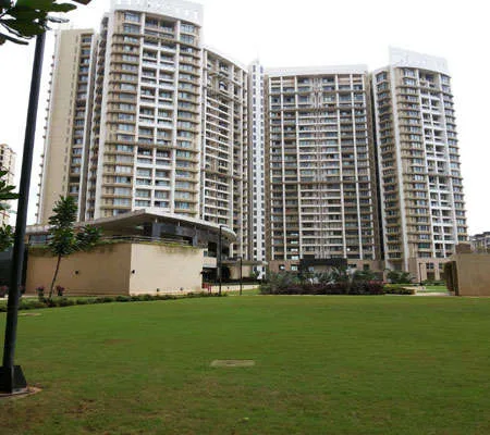 Main Image