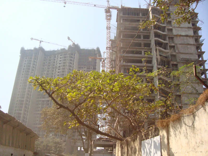 3 Feb 2009
