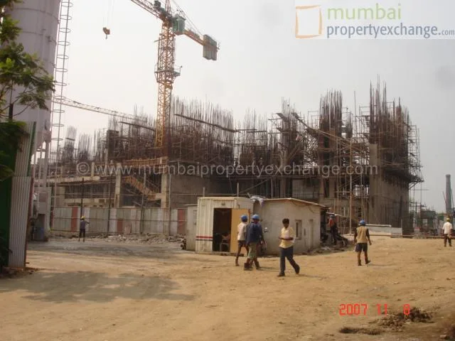 8 Nov 2007