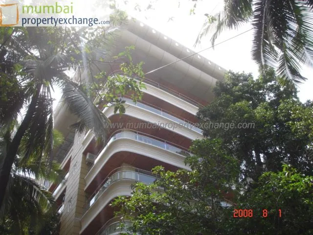 1st Aug 2008