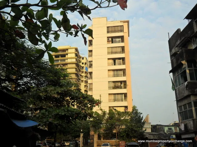Main Image