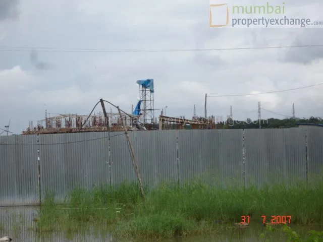 31 July 2007