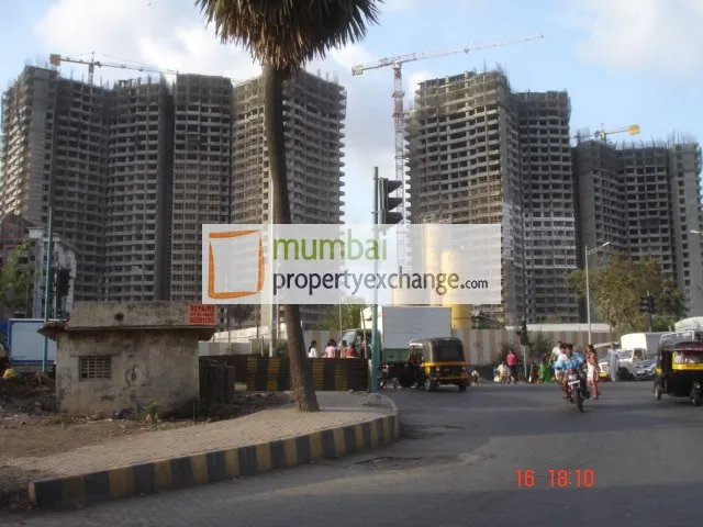 15 June 2009