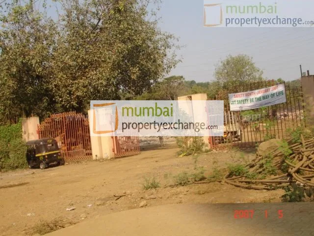 5 January 2007