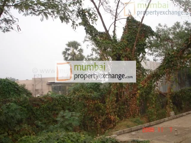 8 Nov 2006