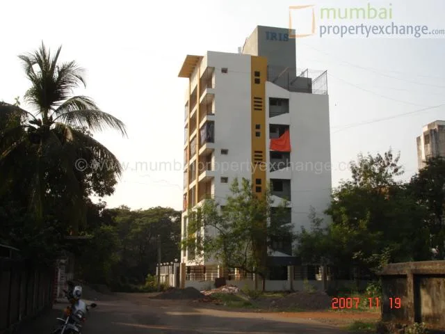 Main Image