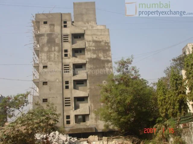 15 January 2007