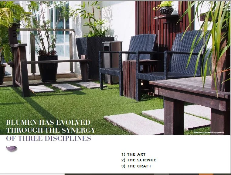 24824_oth_Dotom_Blumen_Image_01