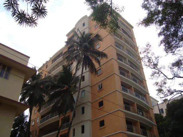 29 Jan 2009