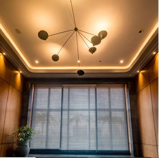 Auris Serenity Internal Image 5