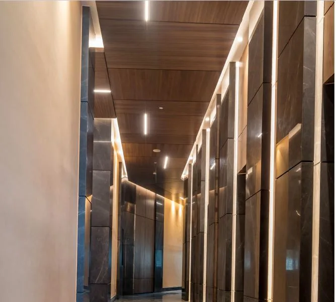 Auris Serenity Internal Image 6