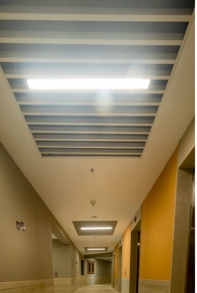 Auris Serenity Internal Image 7