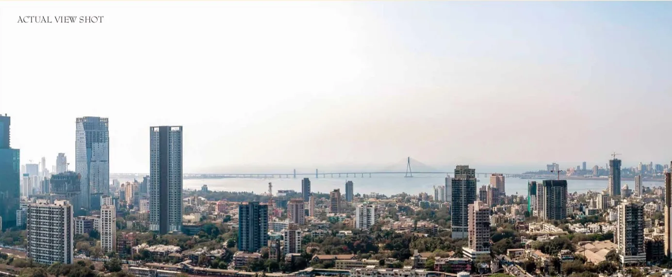 25047_oth_Skyline_View