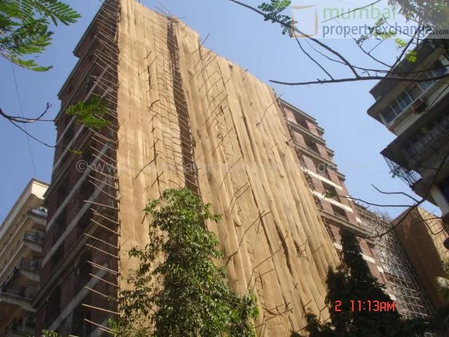 7 Feb 2007