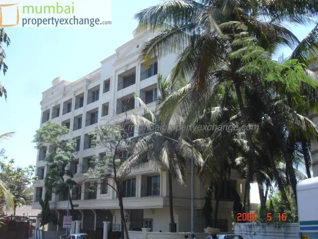 19 May 2008