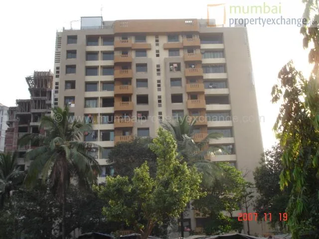 19 Nov 2007