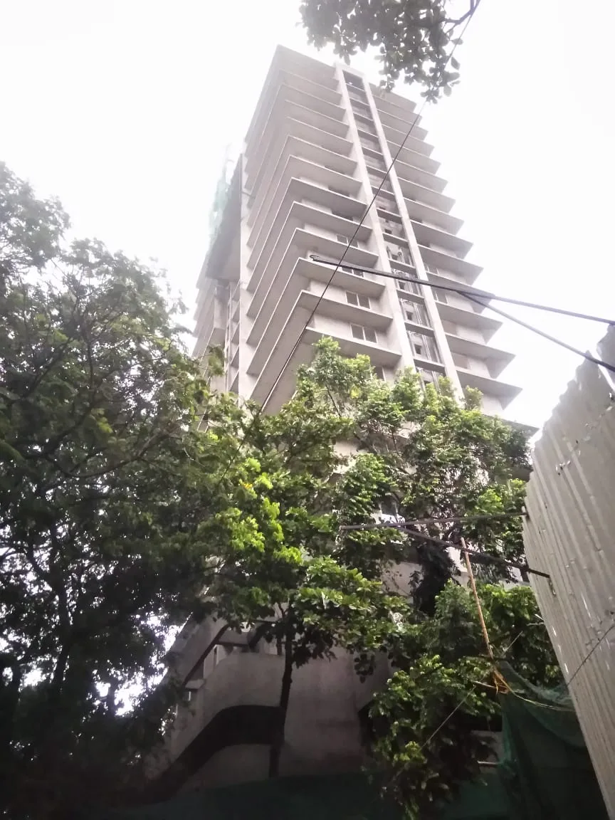 equinox-construction-status-feb-19 -1