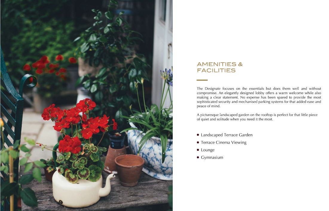 The Designate Amenities -1