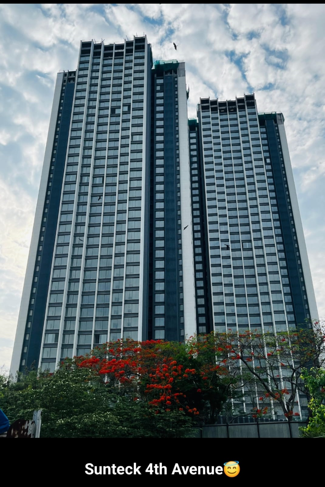 WhatsApp Image 2025-07-06 at 14.33.31_6e78a543