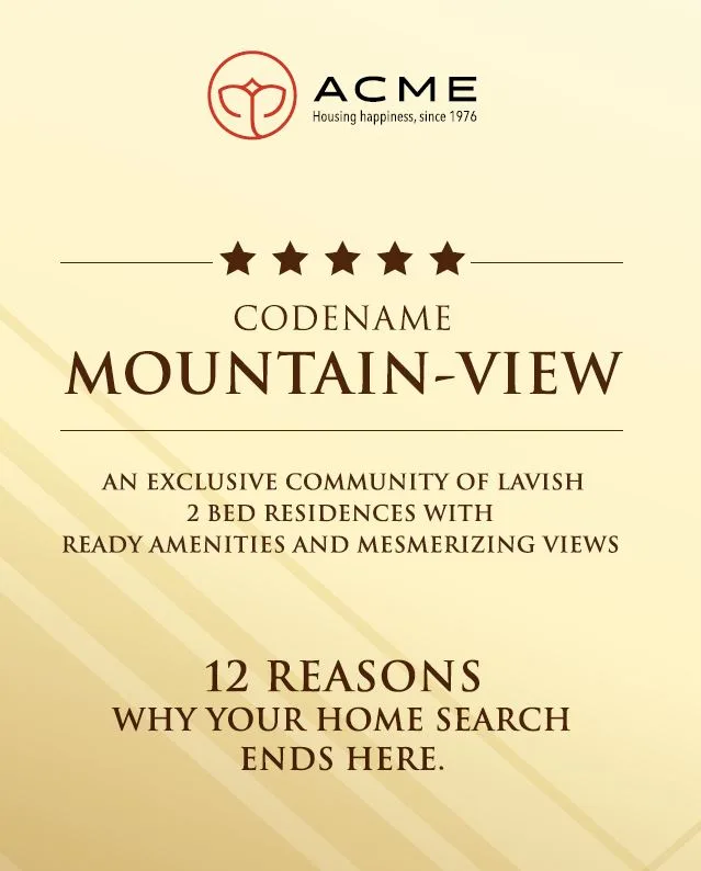 Acme Codename Mountain View Image-1 — photo 2