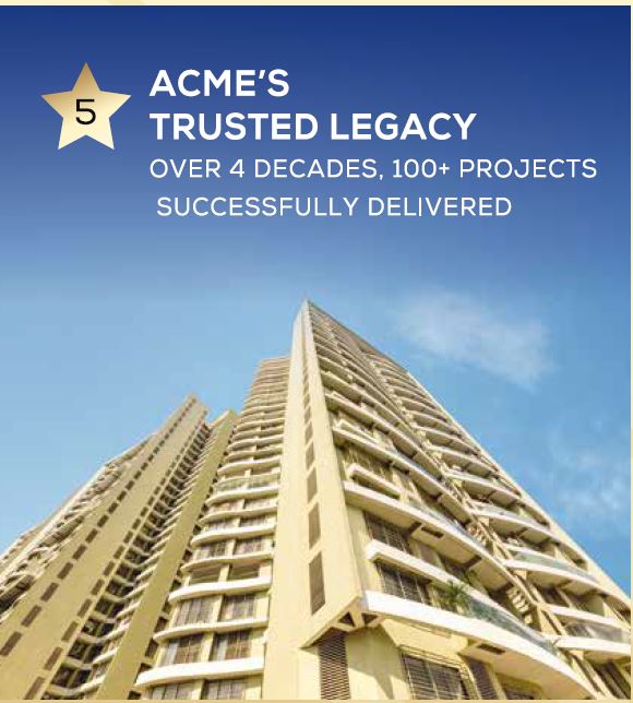 Acme Codename Mountain View Reason 5