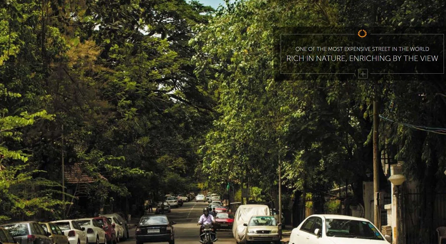 Arkade Rise Carmicheal Road