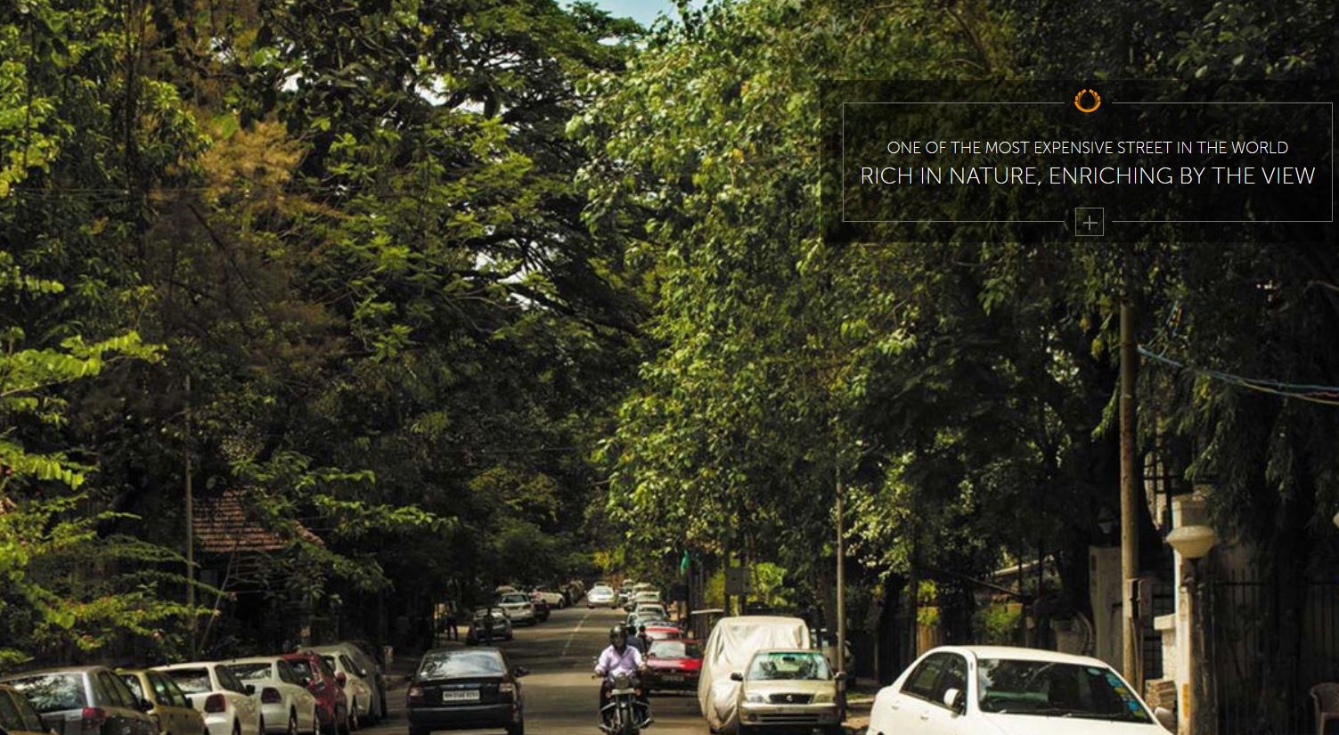 Arkade Rise Carmicheal Road