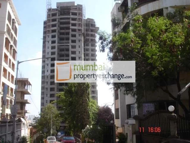 11 June 2009