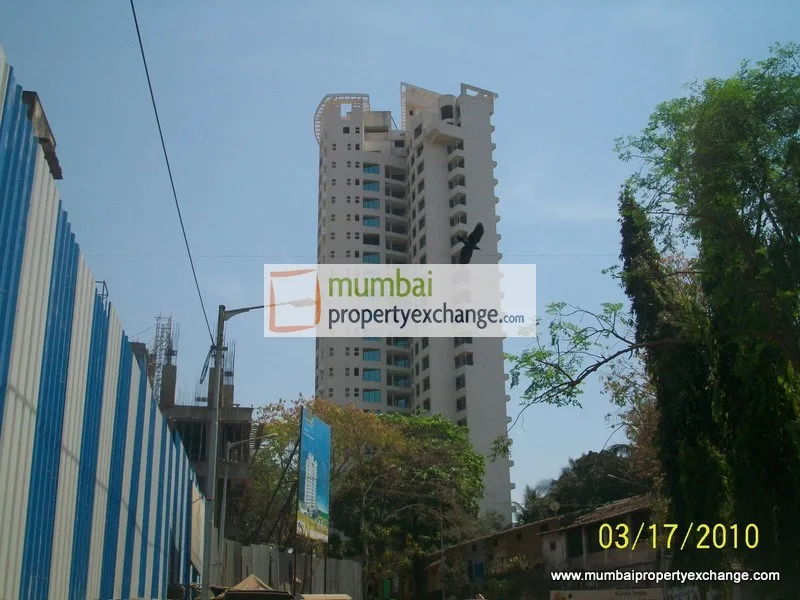 17 March 2010