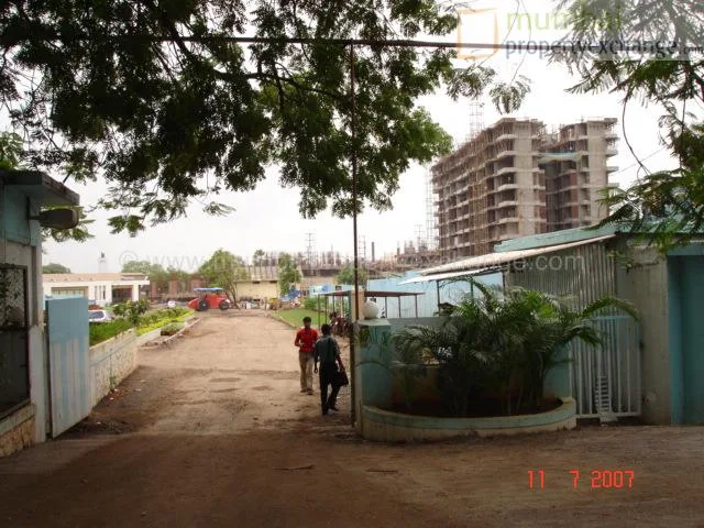 12th July 2007