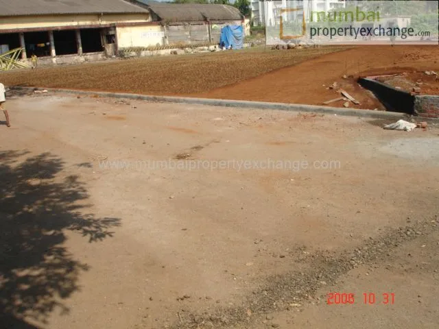 31 October 2006