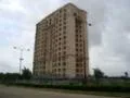 14 March 2009