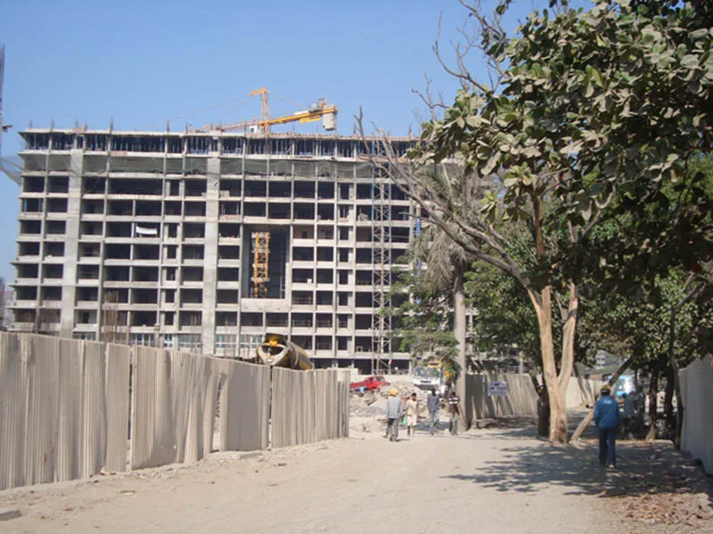 6 Feb 2009