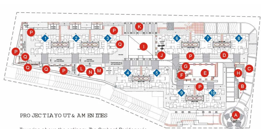 Layout