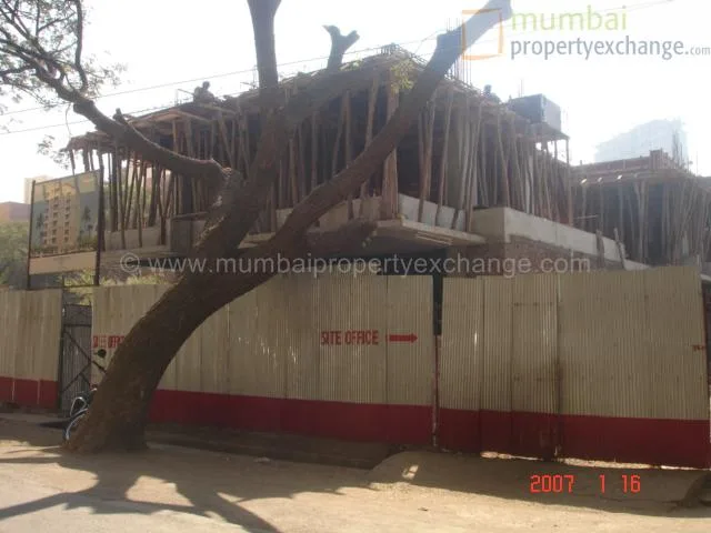 16 January 2007