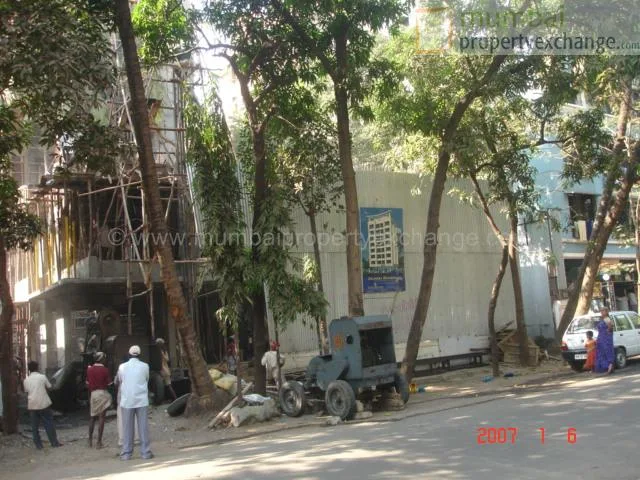 5 January 2007